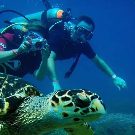 Marcan (adults Only) Ολουντενίζ