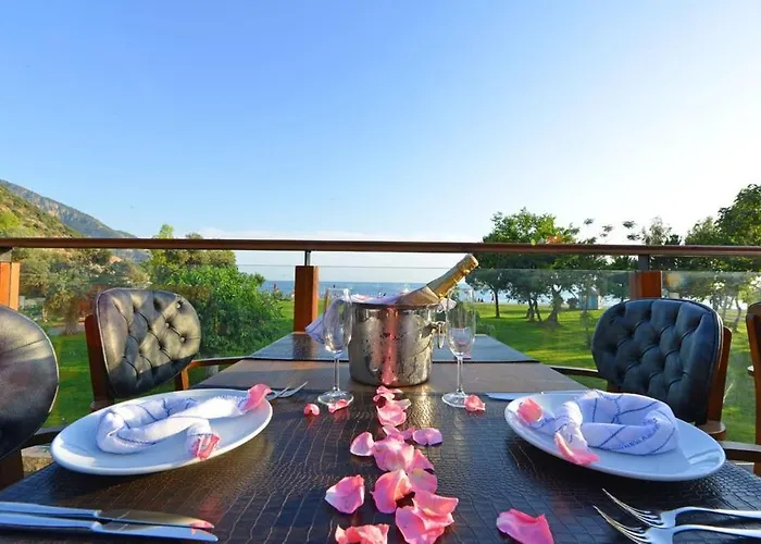 Marcan (adults Only) אולודניץ