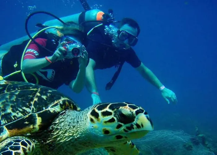 Marcan (adults Only) אולודניץ