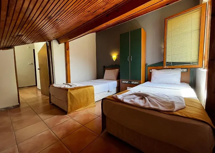 Marcan (adults Only)