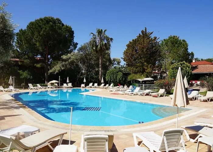 Marcan (adults Only)